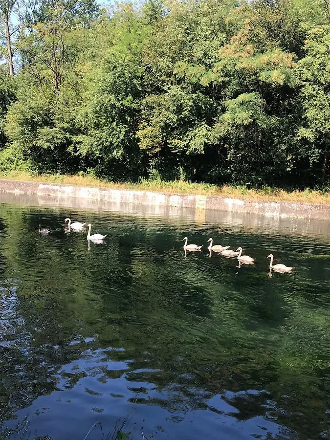 L'Ago Nel Pagliaio Daire Turbigo