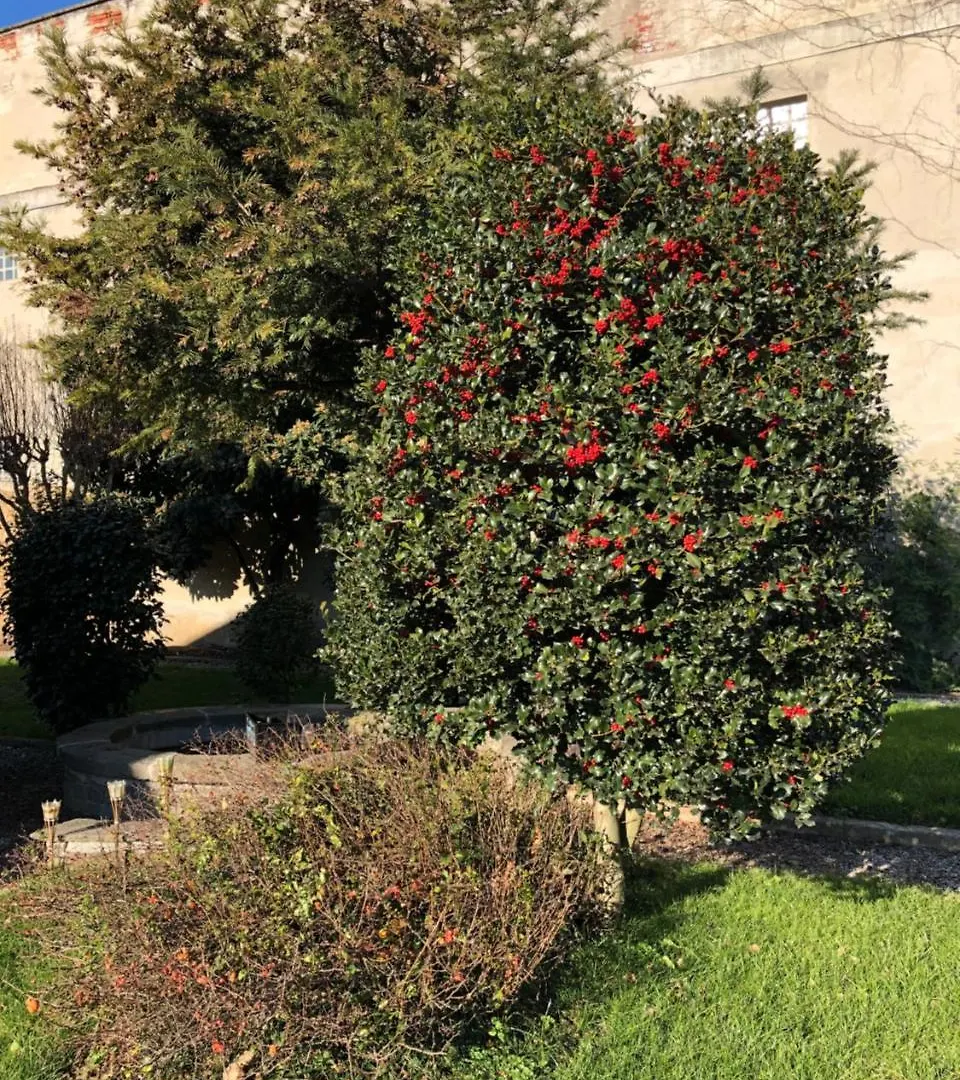 L'Ago Nel Pagliaio Daire Turbigo İtalya